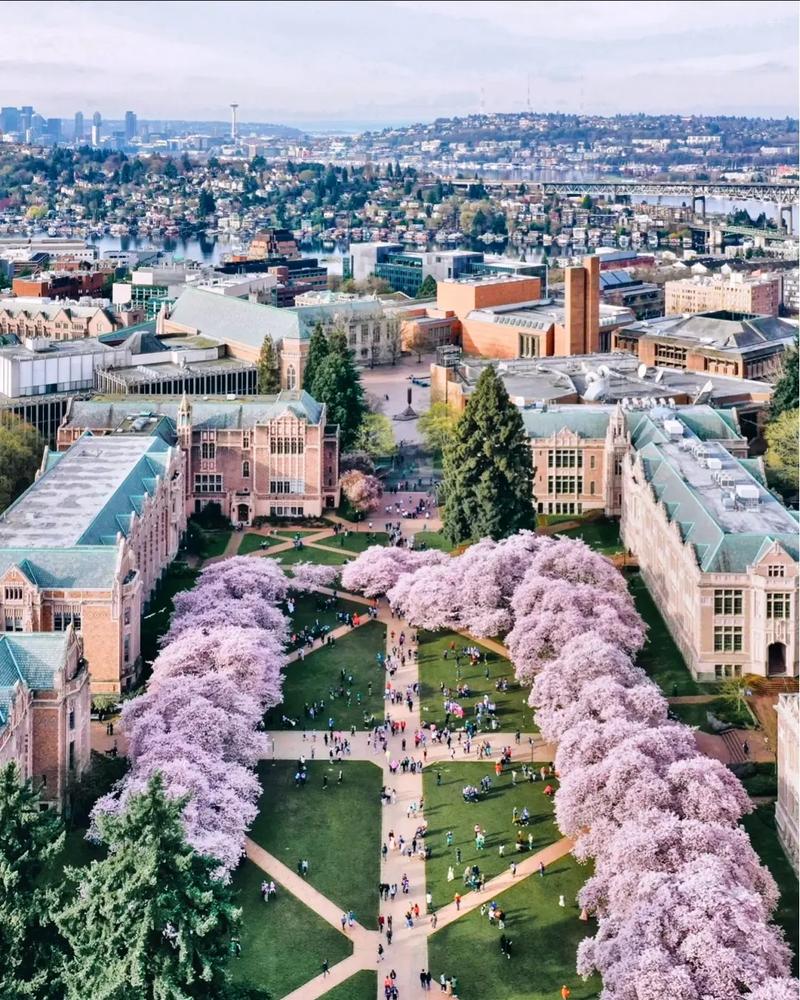 纽约州立大学布法罗分校